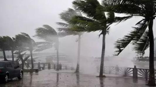 8月臺風(fēng)雨即將來，除濕機還得用起來