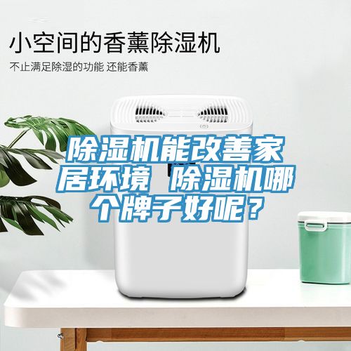 除濕機能改善家居環(huán)境 除濕機哪個牌子好呢？