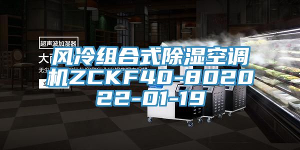 風(fēng)冷組合式除濕空調(diào)機(jī)ZCKF40-802022-01-19