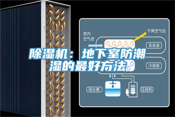 除濕機(jī)：地下室防潮濕的最好方法