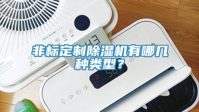 非標(biāo)定制除濕機(jī)有哪幾種類型？