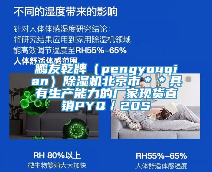 鵬友乾牌（pengyouqian）除濕機北京市＊＊具有生產(chǎn)能力的廠家現(xiàn)貨直銷PYQ／20S