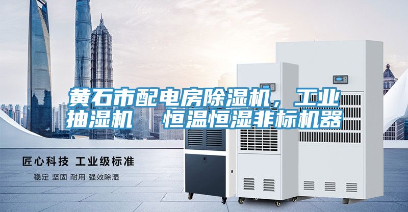 黃石市配電房除濕機，工業(yè)抽濕機  恒溫恒濕非標機器