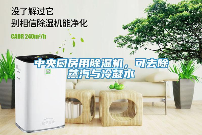 中央廚房用除濕機(jī)，可去除蒸汽與冷凝水