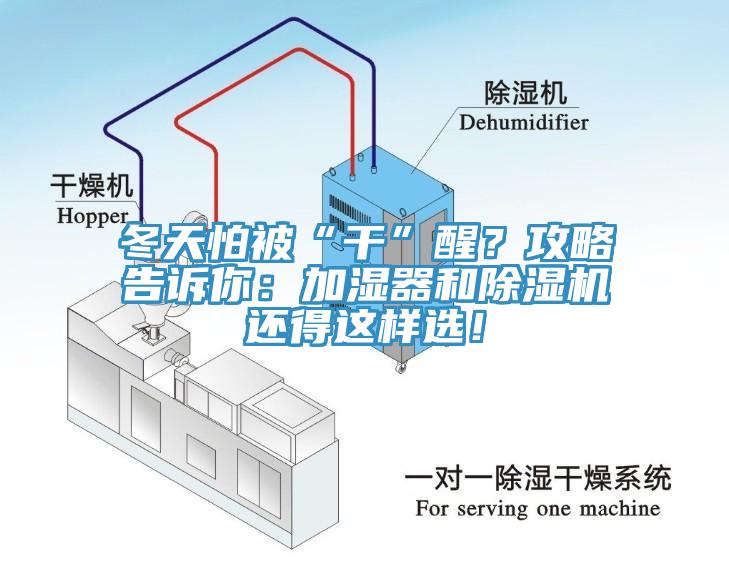 冬天怕被“干”醒？攻略告訴你：加濕器和除濕機(jī)還得這樣選！